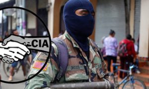 For AIFLD The American Newspaper Guild And The AFL-CIO International Affairs Program/AIFLD